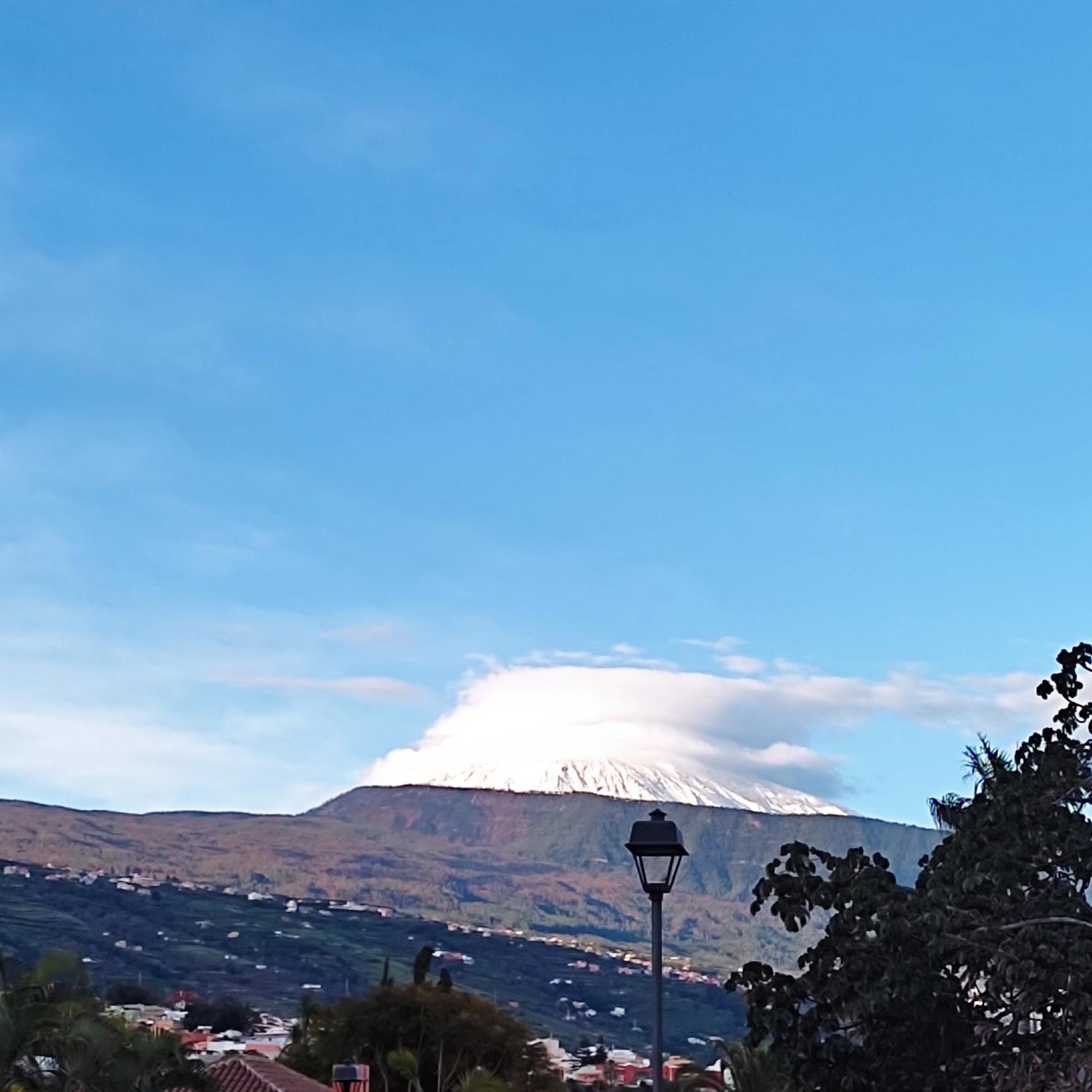 Little Heaven Daire Santa Cruz de Tenerife Dış mekan fotoğraf