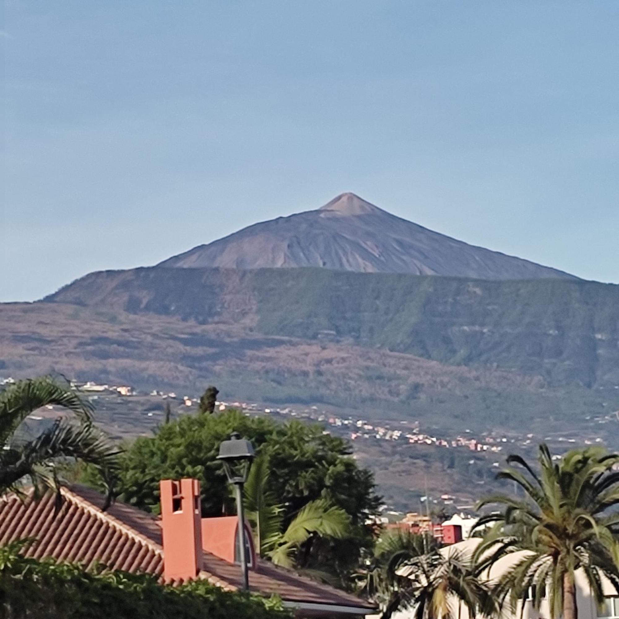 Little Heaven Daire Santa Cruz de Tenerife Dış mekan fotoğraf